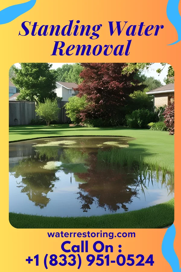 Standing Water Removal in Johnson Prairie, OK